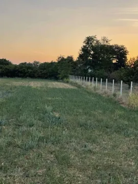 Pogled na ograđeni plac sa travnjakom i rastinjem u sumrak. - image 6