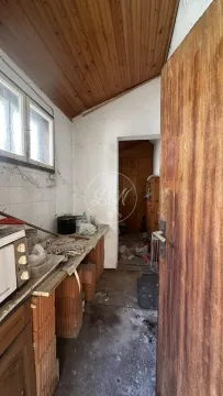 Prodaja, kuća, 43m², Lion, Zvezdara Sve Podlokacije - image 4