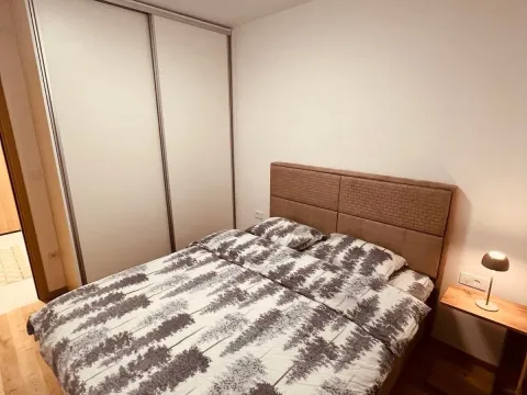 Izdavanje, jednosoban stan, 47m², City Kvart, Podgorica - image 6