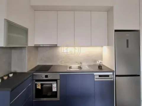 Rent, one bedroom apartment, 45m², Palilula, Niš - image 1