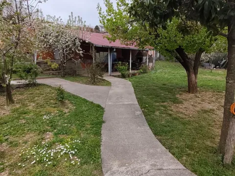 Rent, house, 42m², Malo Brdo, Podgorica - image 8