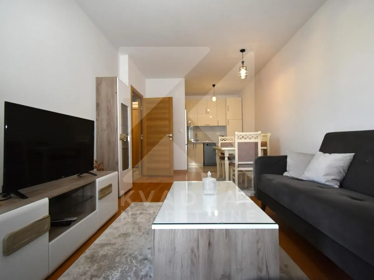 Rent, one bedroom apartment, 48m², New City, Podgorica