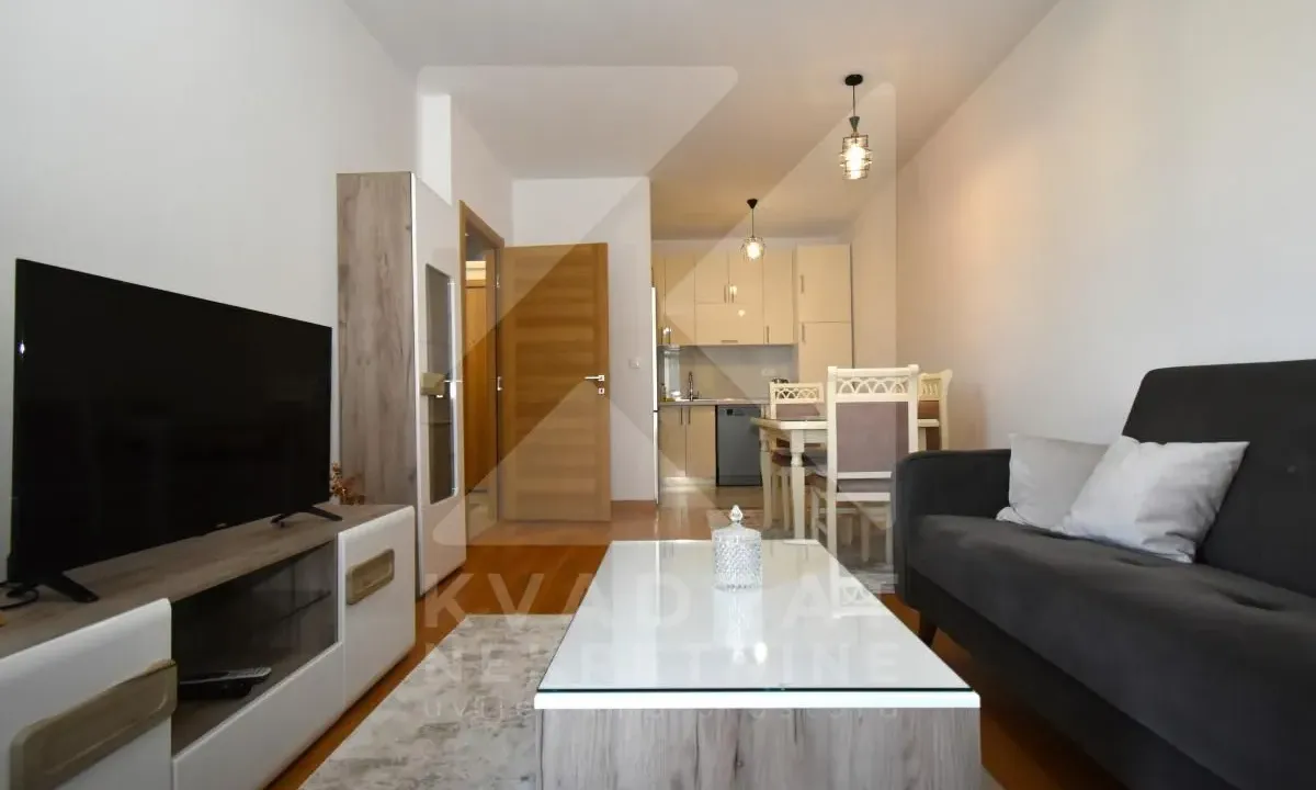 Rent, one bedroom apartment, 48m², New City, Podgorica