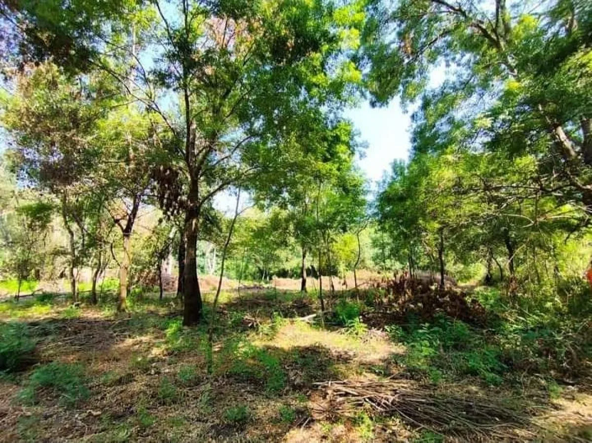 Prodaja, plac, 1800m², Podgorica, Crna Gora