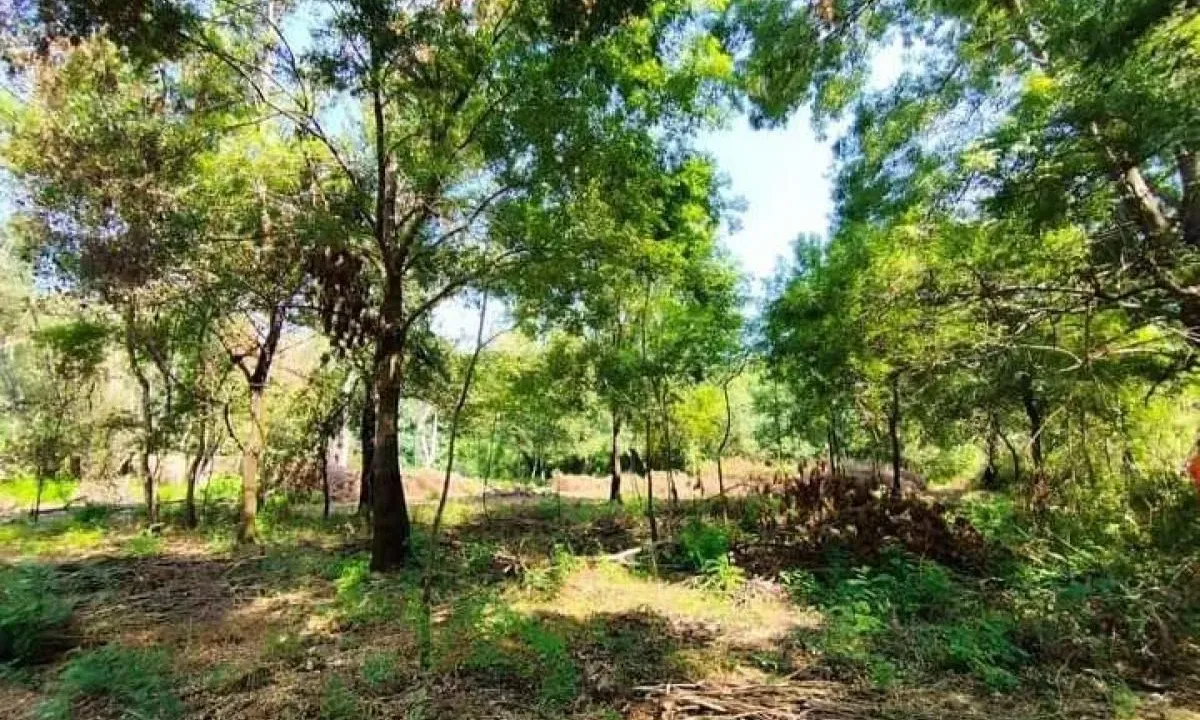 Sale, land lot, 1800m², Podgorica, Crna Gora