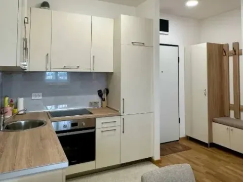 Izdavanje, jednosoban stan, 50m², Stari Aerodrom, Podgorica - image 3