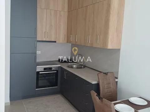 Rent, one bedroom apartment, 44m², Stari Aerodrom, Podgorica - image 4