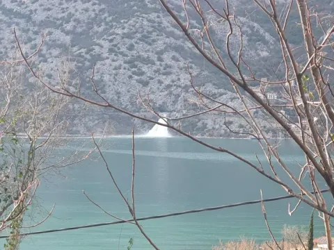 Pogled na more i planine kroz grane drveća. - image 2