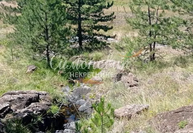 Prodaja, plac, 212100m², Divčibare, Valjevo
