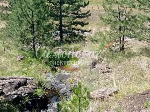 Sale, land lot, 212100m², Divčibare, Valjevo - image 4