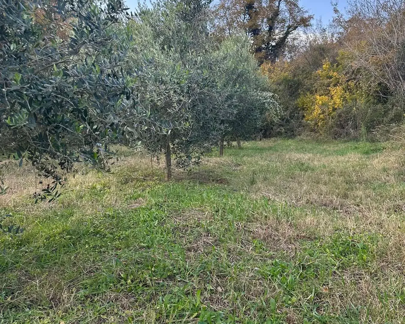 Prodaja, plac, 6000m², Ulcinj, Crna Gora