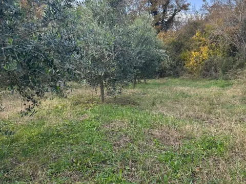 Prodaja, plac, 6000m², Ulcinj, Crna Gora - image 8