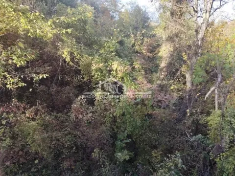 Prodaja, plac, 2300m², Sremčica, Beograd - image 3