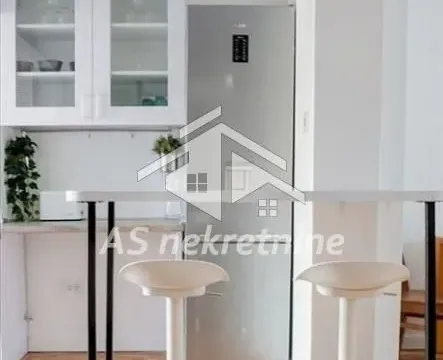 Izdavanje, dvosoban stan, 51m², Dorćol Sve Podlokacije, Beograd - image 4