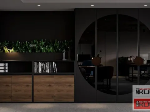 Izdavanje, poslovni prostor, 279m², Bulevar Oslobodjenja, Novi Sad Sve Podlokacije - image 6