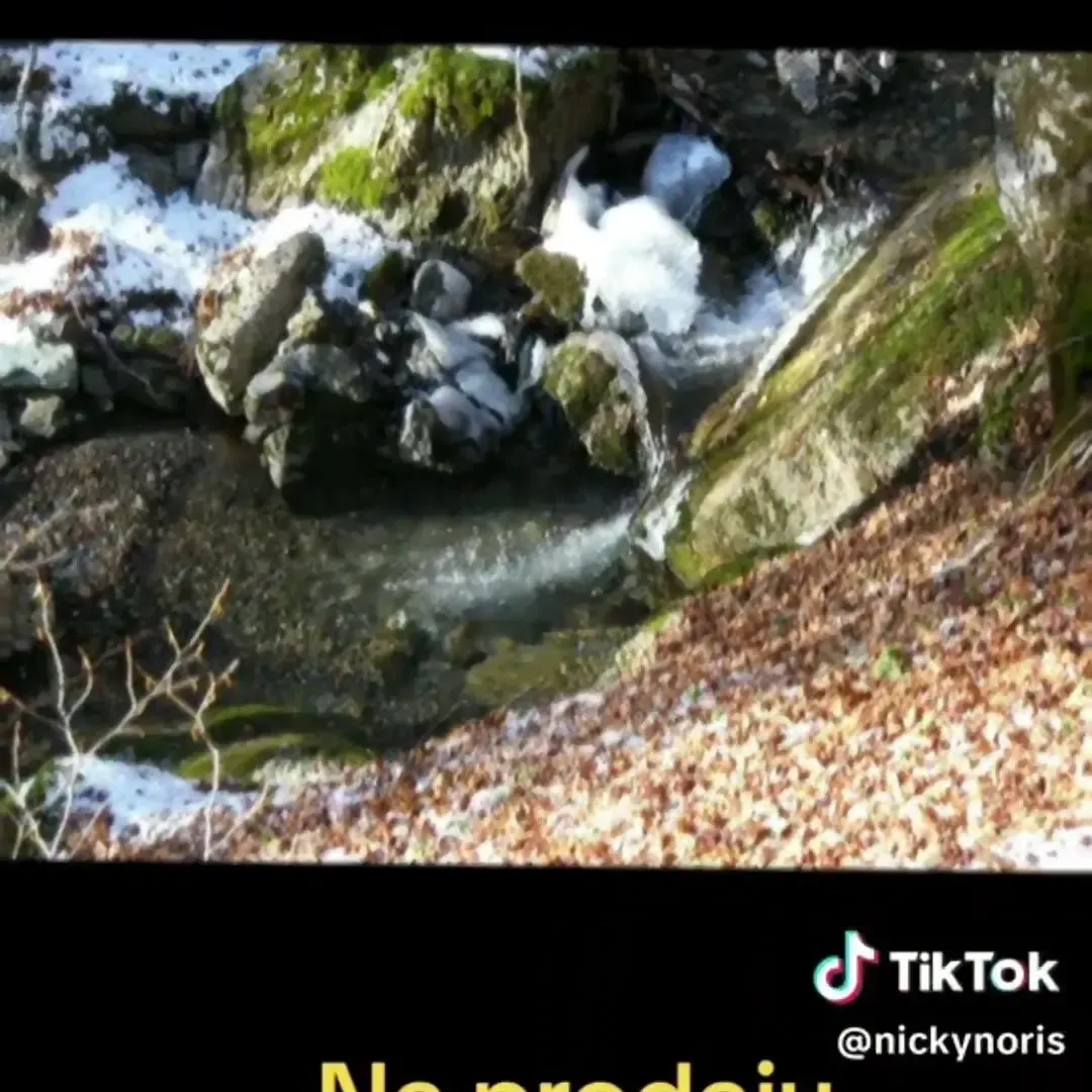 Prodaja, plac, 100000m², Sela, Kolašin