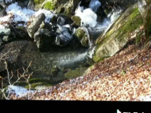 Prodaja, plac, 100000m², Sela, Kolašin - image 8