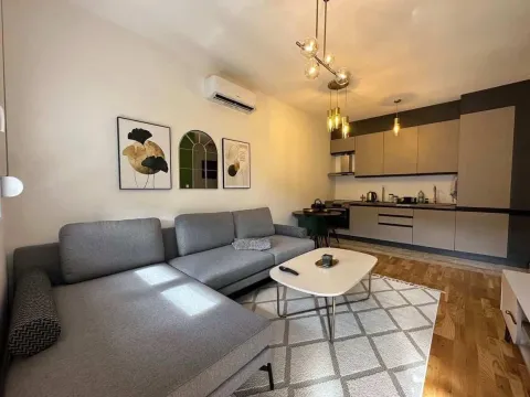Prodaja, jednosoban stan, 45m², Podgorica, Crna Gora - image 2