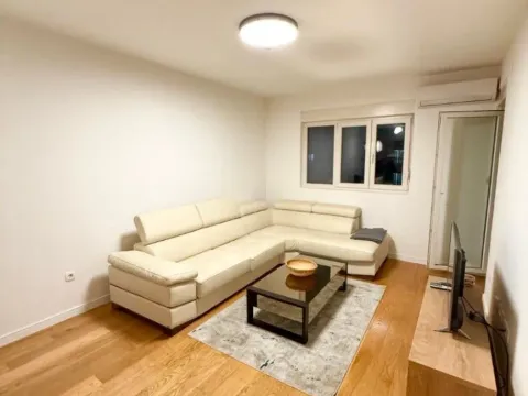 Izdavanje, jednosoban stan, 49m², Central Point, Podgorica - image 2