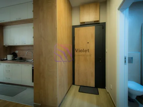 Rent, one bedroom apartment, 44m², Tološi, Podgorica - image 14