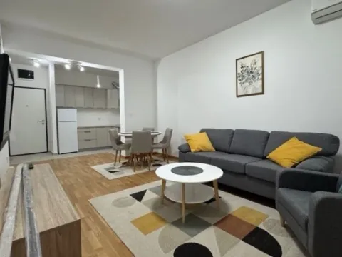 Izdavanje, stan, 46m², Stari Aerodrom, Podgorica - image 9