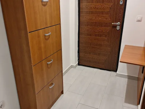 Rent, one bedroom apartment, 45m², Tuški Put, Podgorica - image 11