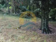 Sale, land lot, 1200m², Dobrota, Kotor - image 5