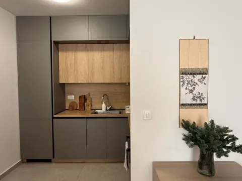 Prodaja, jednosoban stan, 48m², Podgorica, Crna Gora - image 4