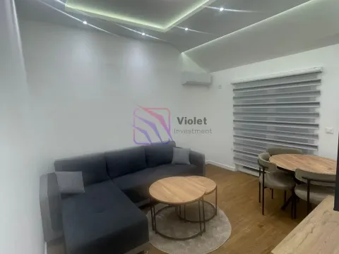 Izdavanje, jednosoban stan, 55m², Zagorič, Podgorica - image 25