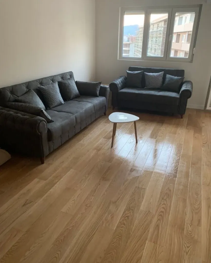 Izdavanje, jednosoban stan, 49m², Central Point, Podgorica