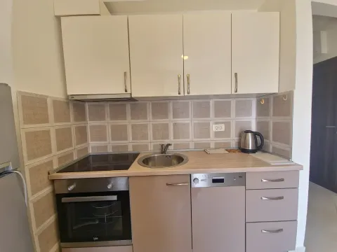 Rent, one bedroom apartment, 46m², Bečići, Budva - image 10