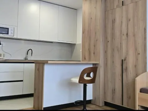 Izdavanje, garsonjera, 28m², Telep, Novi Sad Sve Podlokacije - image 16