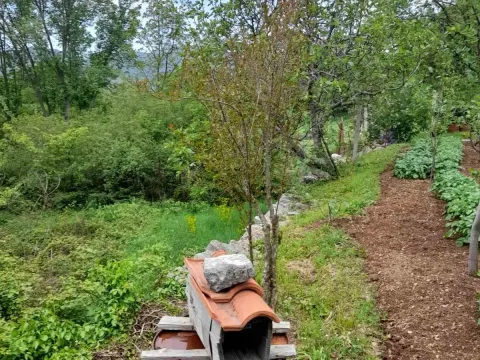 Prodaja, plac, 700m², Herceg Novi, Crna Gora - image 9