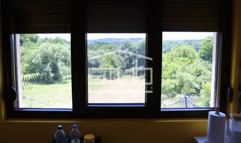 View through the window overlooking the green surroundings and nature. - image 10
