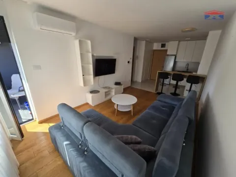 Rent, one bedroom apartment, 44m², Spens, Novi Sad Sve Podlokacije - image 4