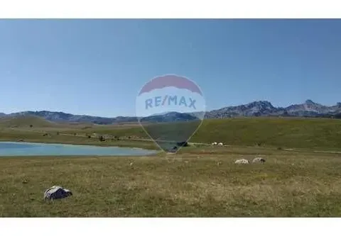 Sale, land lot, 20485m², Žabljak, Cetinje - image 2