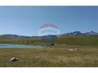 Prodaja, plac, 20485m², Žabljak, Cetinje - image 2