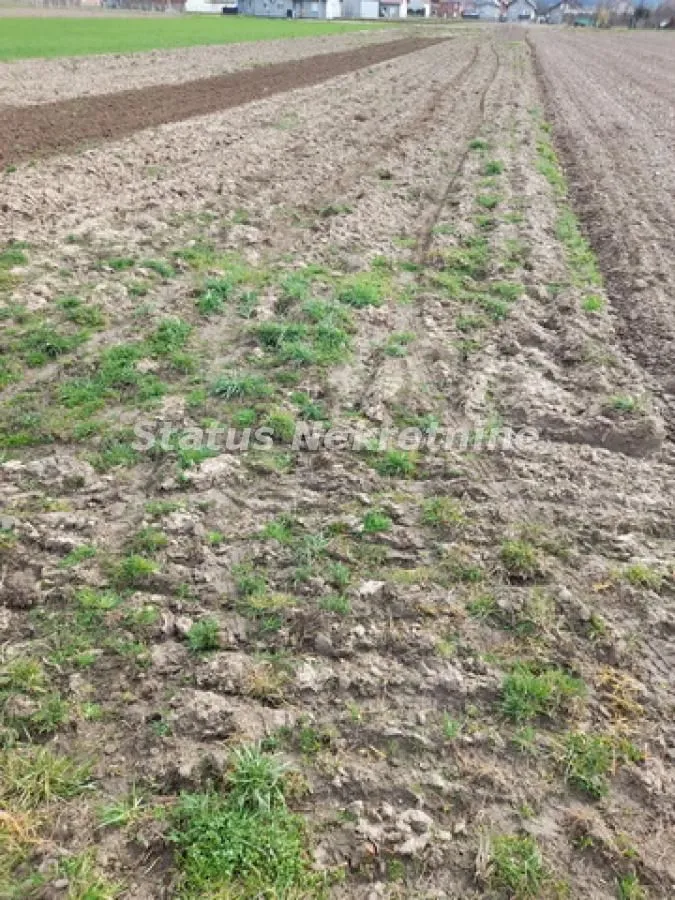 Prodaja, plac, 499m², Futog, Novi Sad Sve Podlokacije