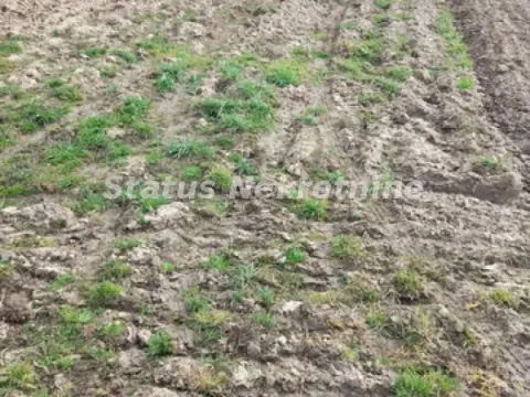 Sale, land lot, 499m², Futog, Novi Sad Sve Podlokacije - image 4