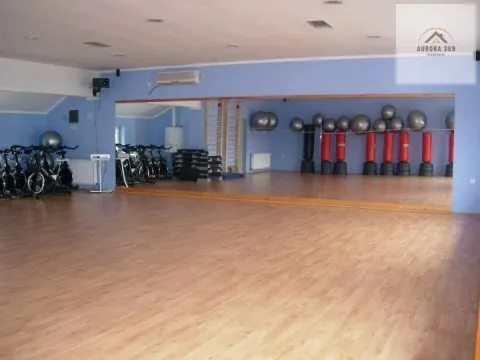 Prodaja, kuća, 1103m², Apatin, Srbija - image 9