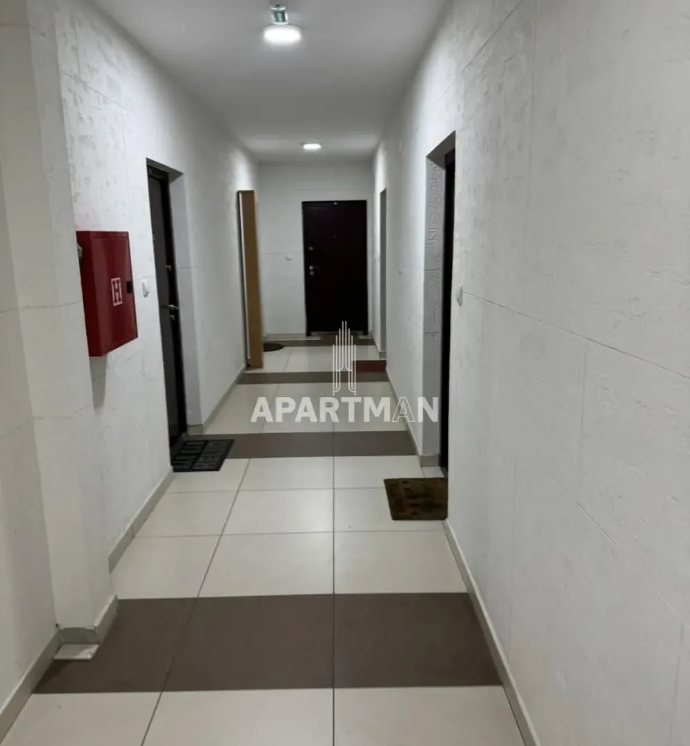 Izdavanje, stan, 24m², Palilula Sve Podlokacije, Beograd