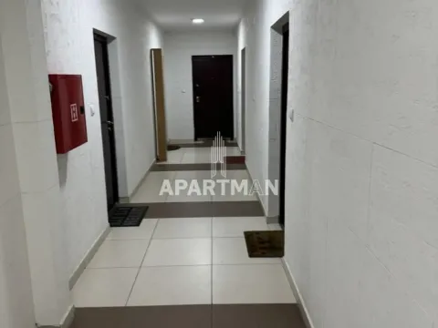Izdavanje, stan, 24m², Palilula Sve Podlokacije, Beograd - image 2