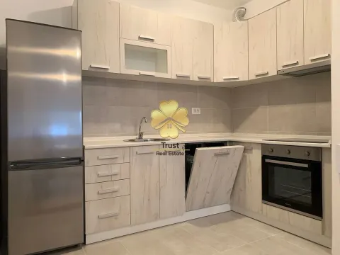 Izdavanje, jednosoban stan, 50m², Stari Aerodrom, Podgorica - image 7