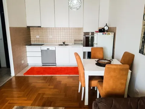 Izdavanje, jednosoban stan, 50m², Stari Aerodrom, Podgorica - image 4