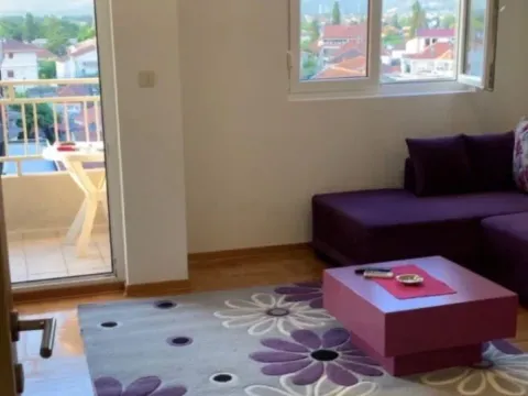 Izdavanje, jednosoban stan, 45m², Stari Aerodrom, Podgorica - image 5