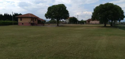 Prostrano dvorište sa travnjakom i kućom u pozadini. - image 2
