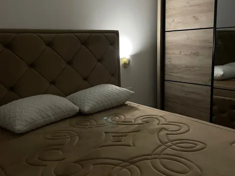 Izdavanje, jednosoban stan, 47m², Stari Aerodrom, Podgorica - image 2