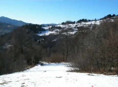 Pogled na planinski pejzaž prekriven snijegom sa šumom. - image 6
