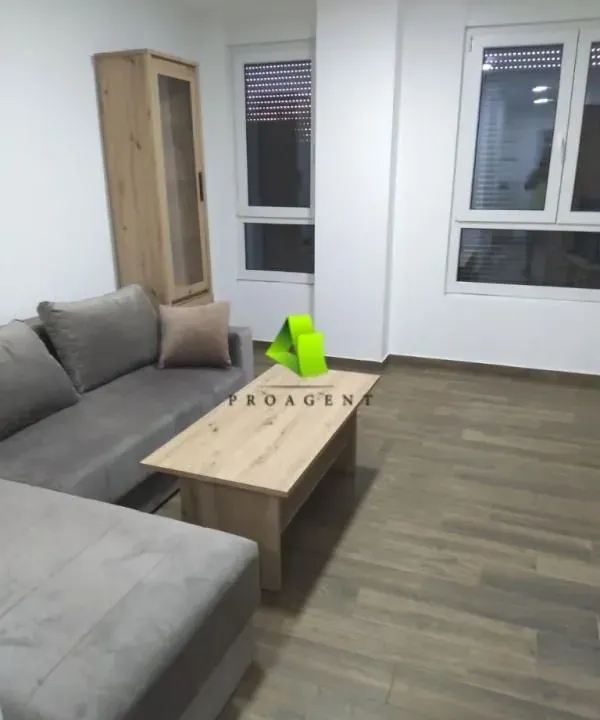 Izdavanje, jednosoban stan, 50m², Palilula, Niš