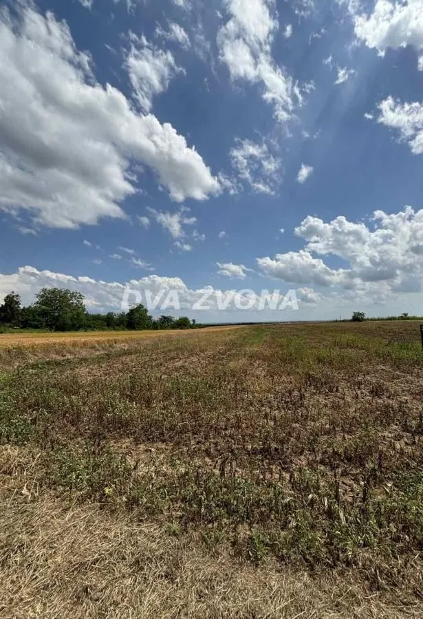 Prodaja, plac, 1000m², Čortanovci, Inđija